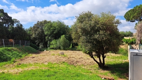 Calonge Baix Empordà kommersiell foto 6264514