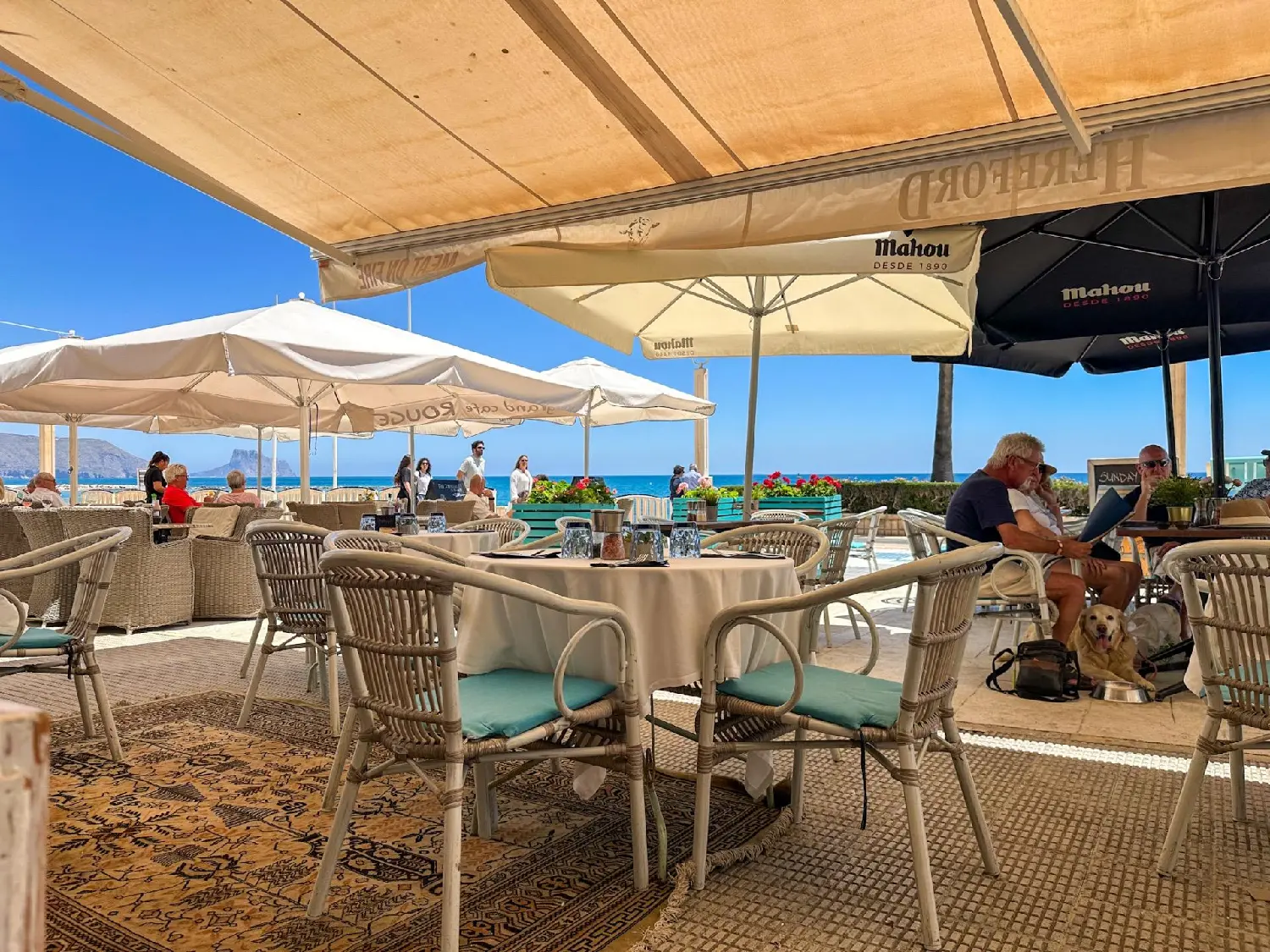  till salu kommersiell San Roque Marina Baixa 8