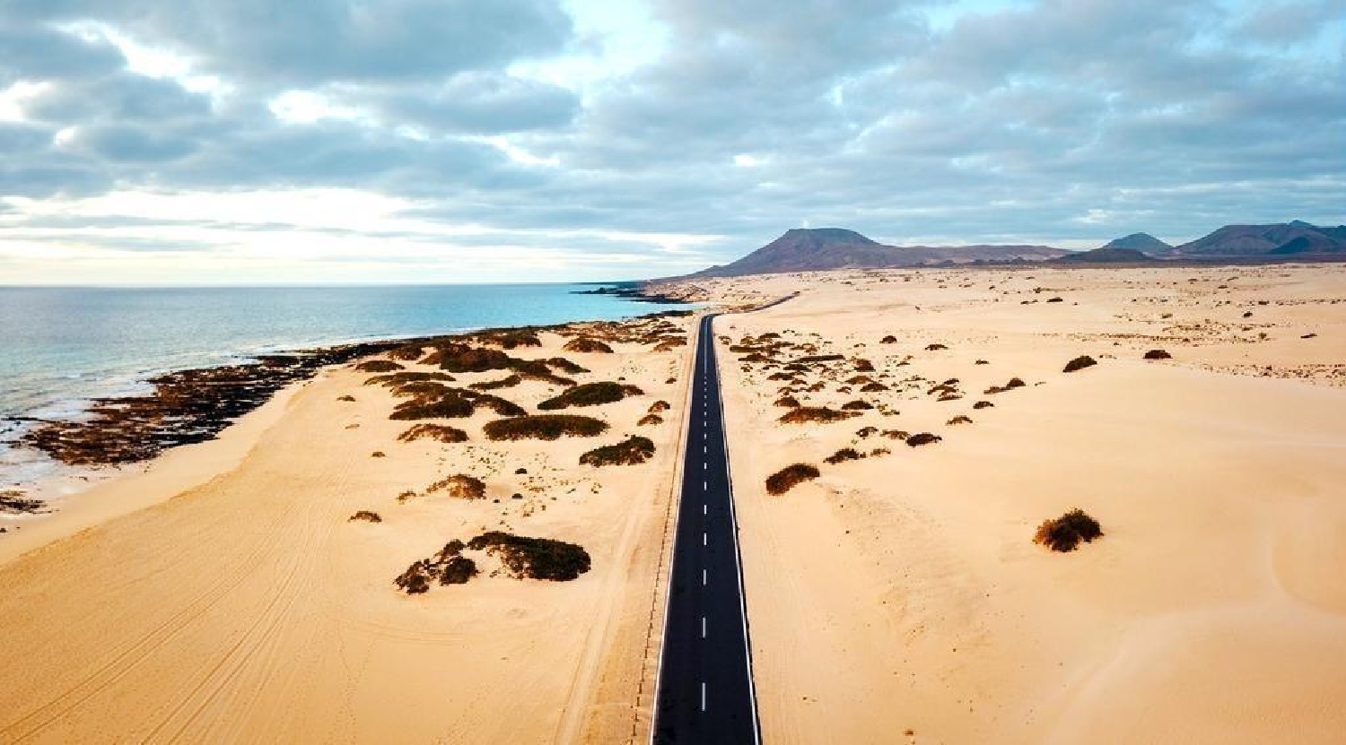  till salu kommersiell Corralejo Playa Oliva (La) 8