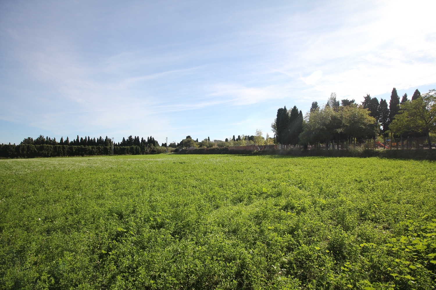  till salu kommersiell Figueres Alt Empordà 1