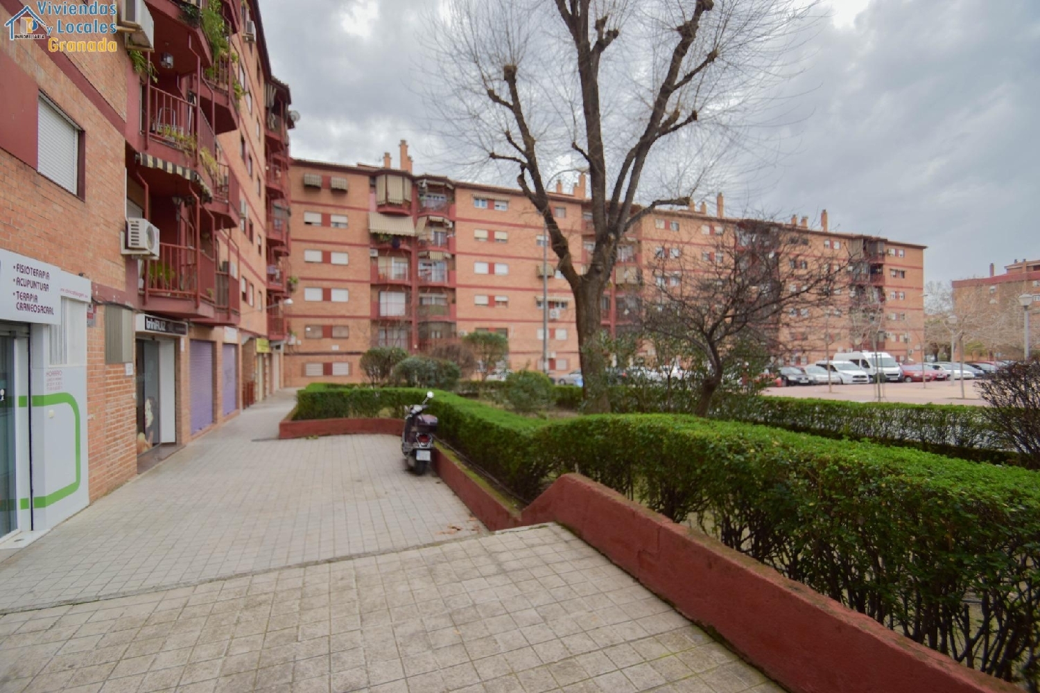  till salu kommersiell Granada Norte 18013 Vega De Granada 4