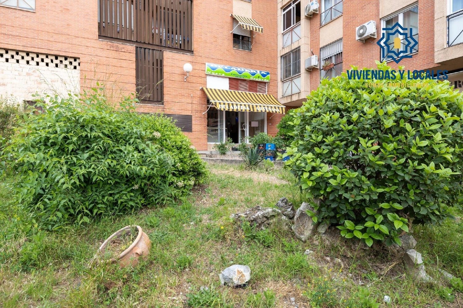  till salu kommersiell Granada Norte Norte 18011 Vega De Granada 4