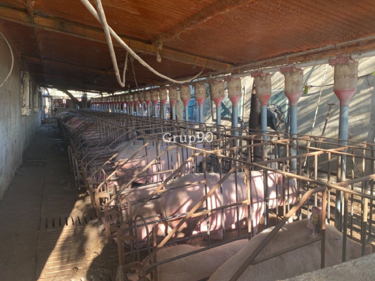  en venta local comercial Els Ibarsos Plana Alta 11