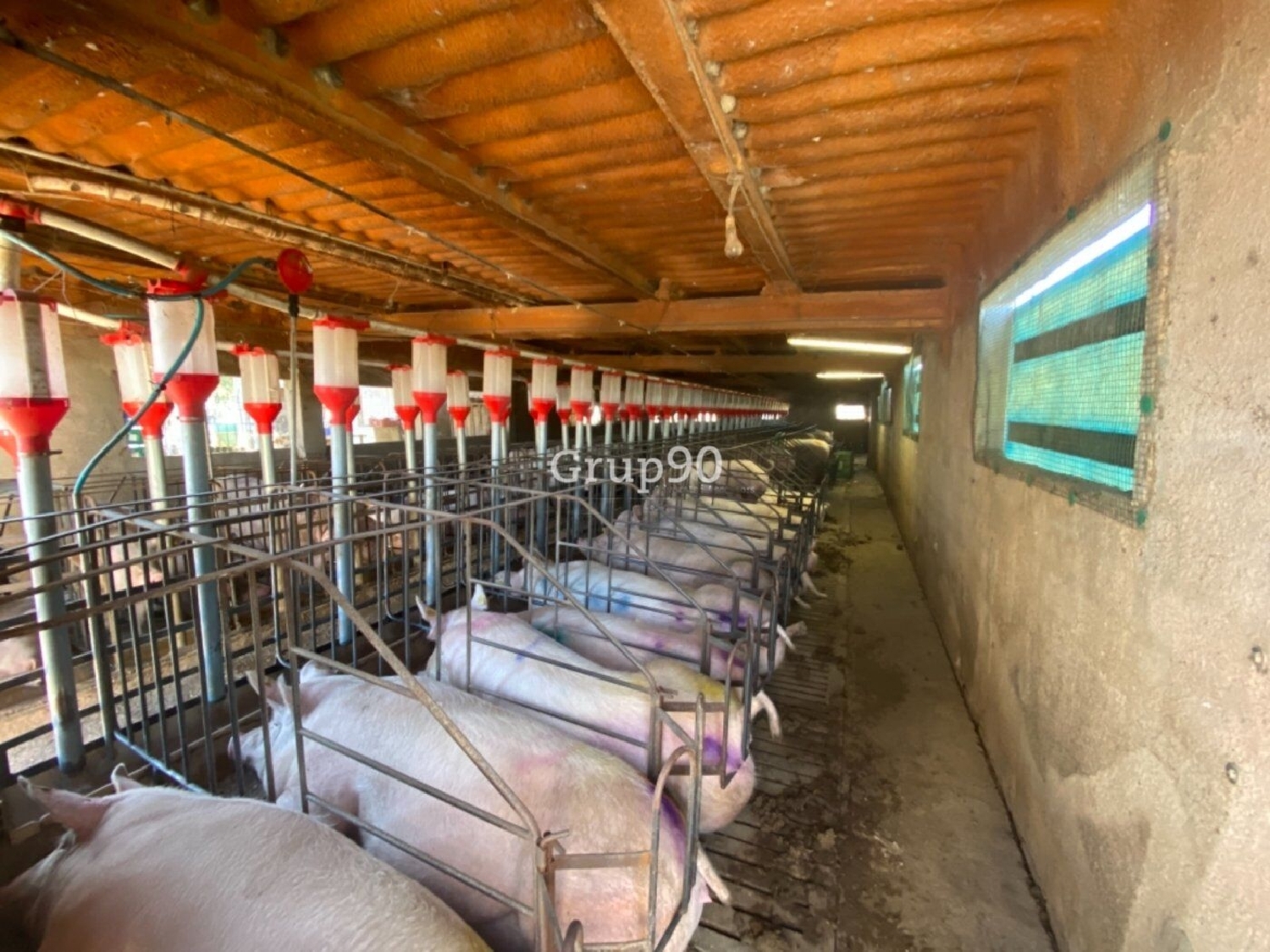  en venta local comercial Els Ibarsos Plana Alta 13