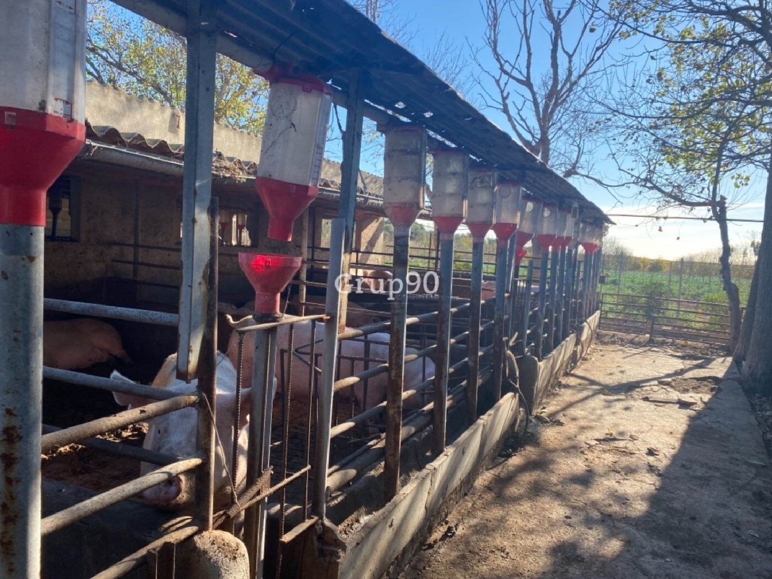  en venta local comercial Els Ibarsos Plana Alta 15
