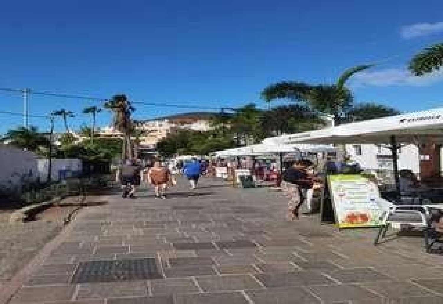 till salu kommersiell Playa De Las Americas Zona Sur 3