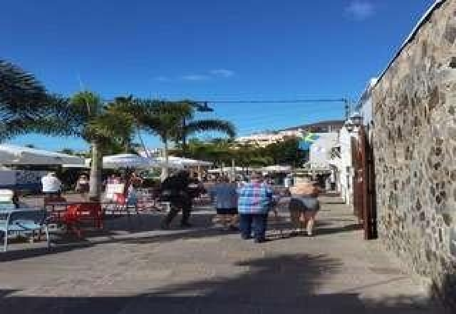  till salu kommersiell Playa De Las Americas Zona Sur 4