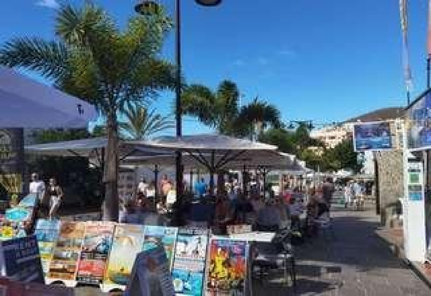  till salu kommersiell Playa De Las Americas Zona Sur 5