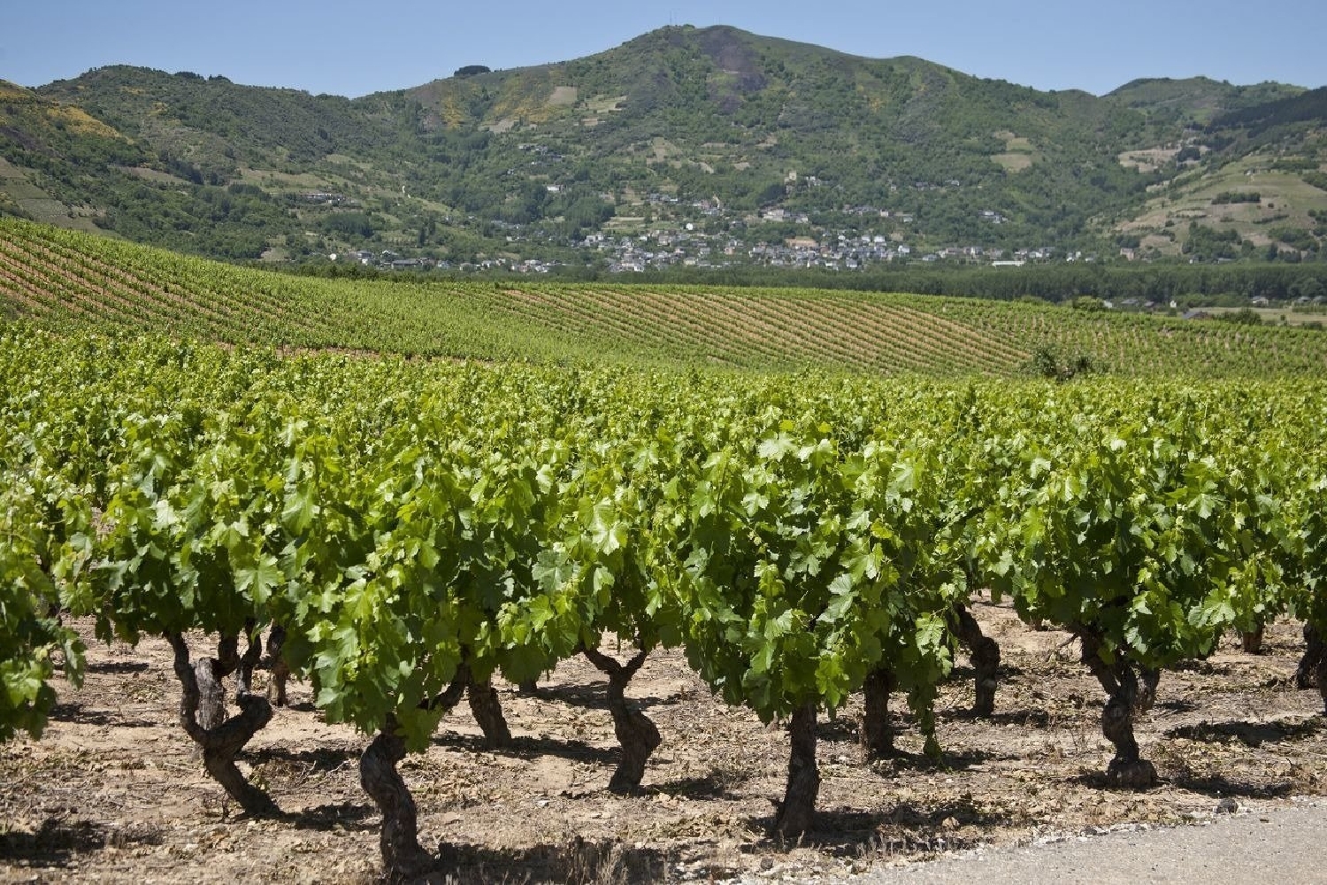  till salu kommersiell Villamartín De La Abadía Bierzo (El) 1