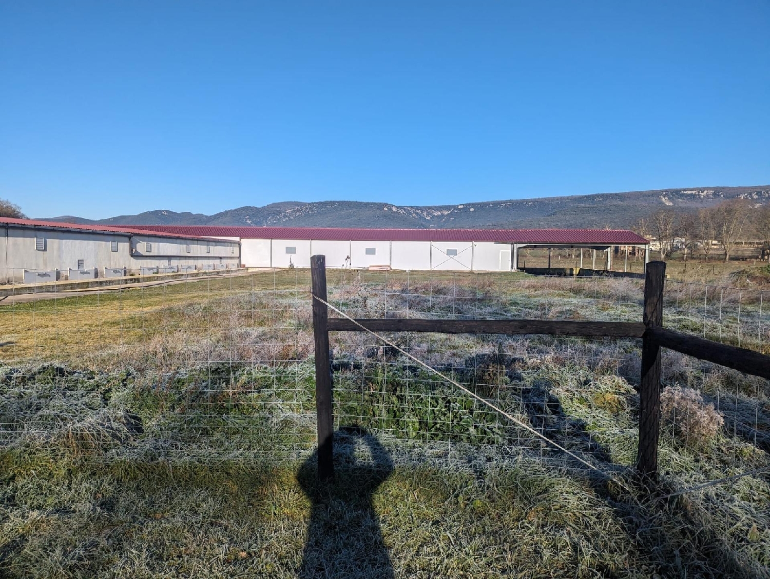  till salu kommersiell Zúñiga Tierra Estella 7