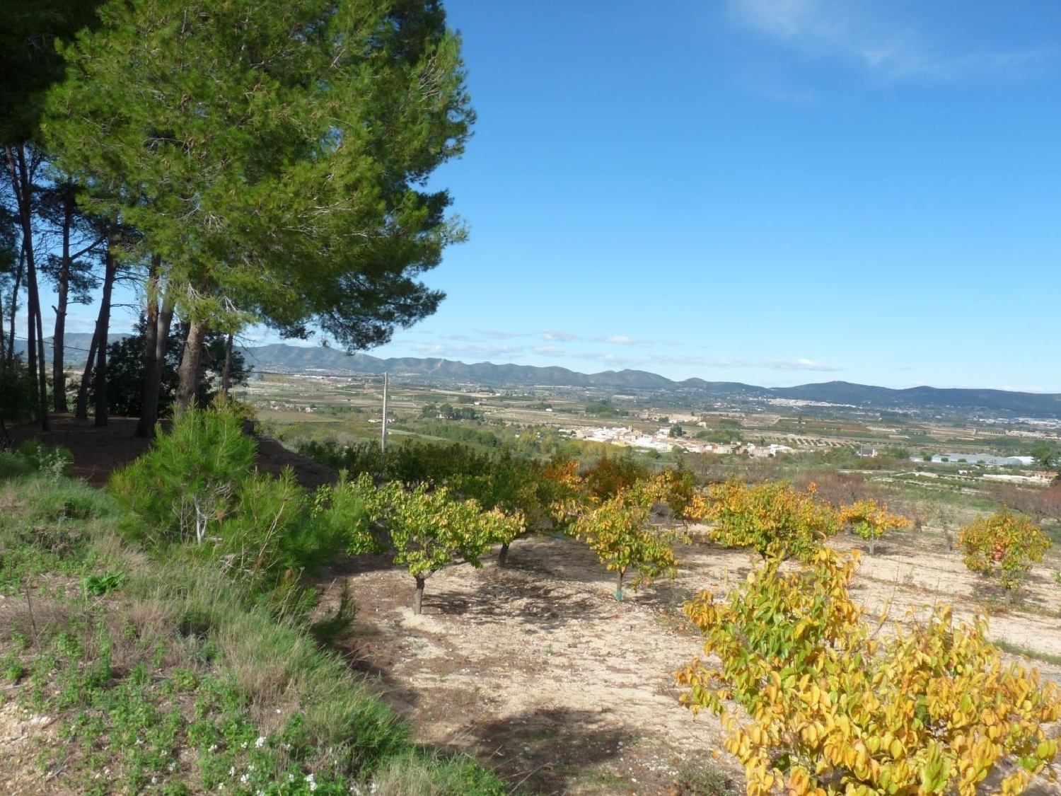  till salu hus på landet Albaida Vall D'albaida 7