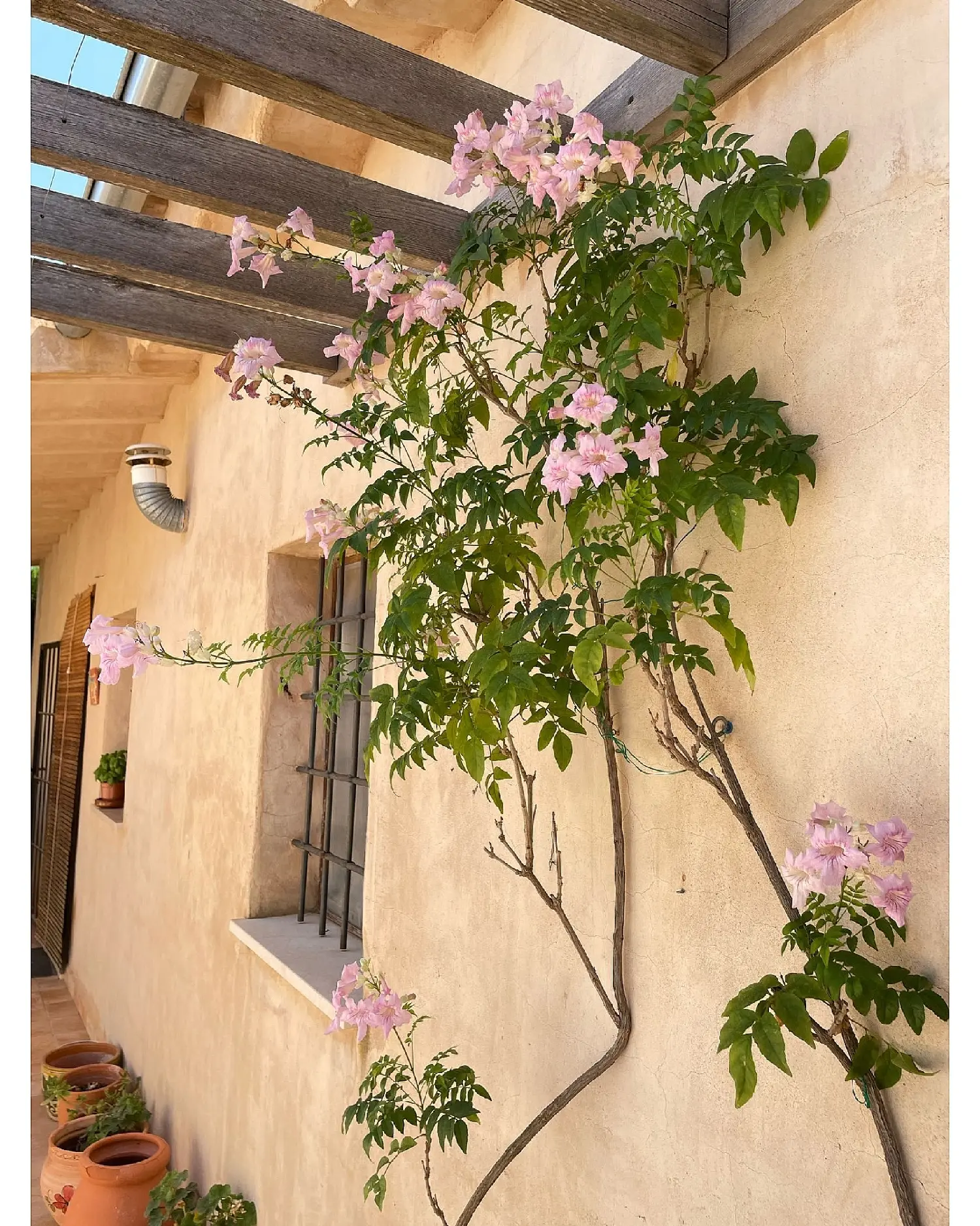  till salu hus på landet San Cayetano Mar Menor 35