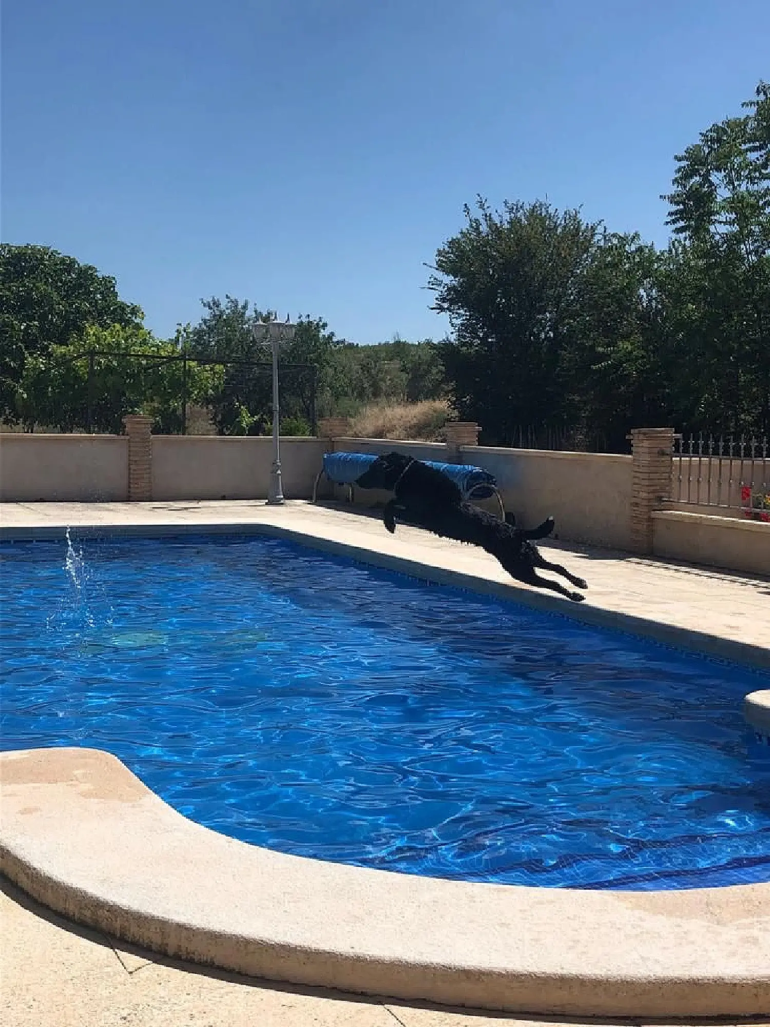 till salu hus på landet San Cayetano Mar Menor 2