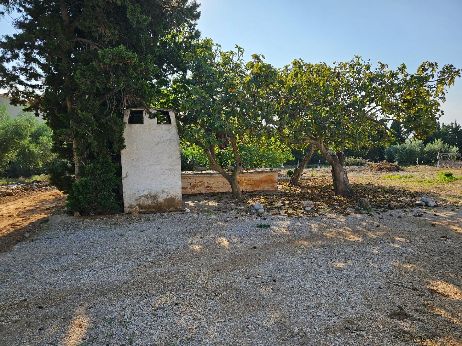  till salu hus på landet Alcanar-Platja Montsià 6