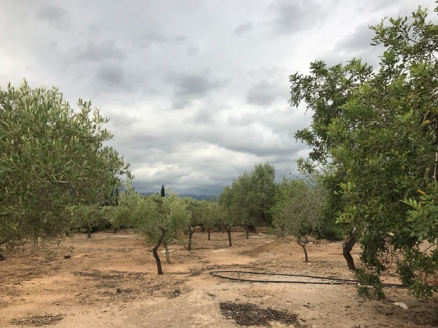  te koop boerderij Aldover Baix Ebre 6