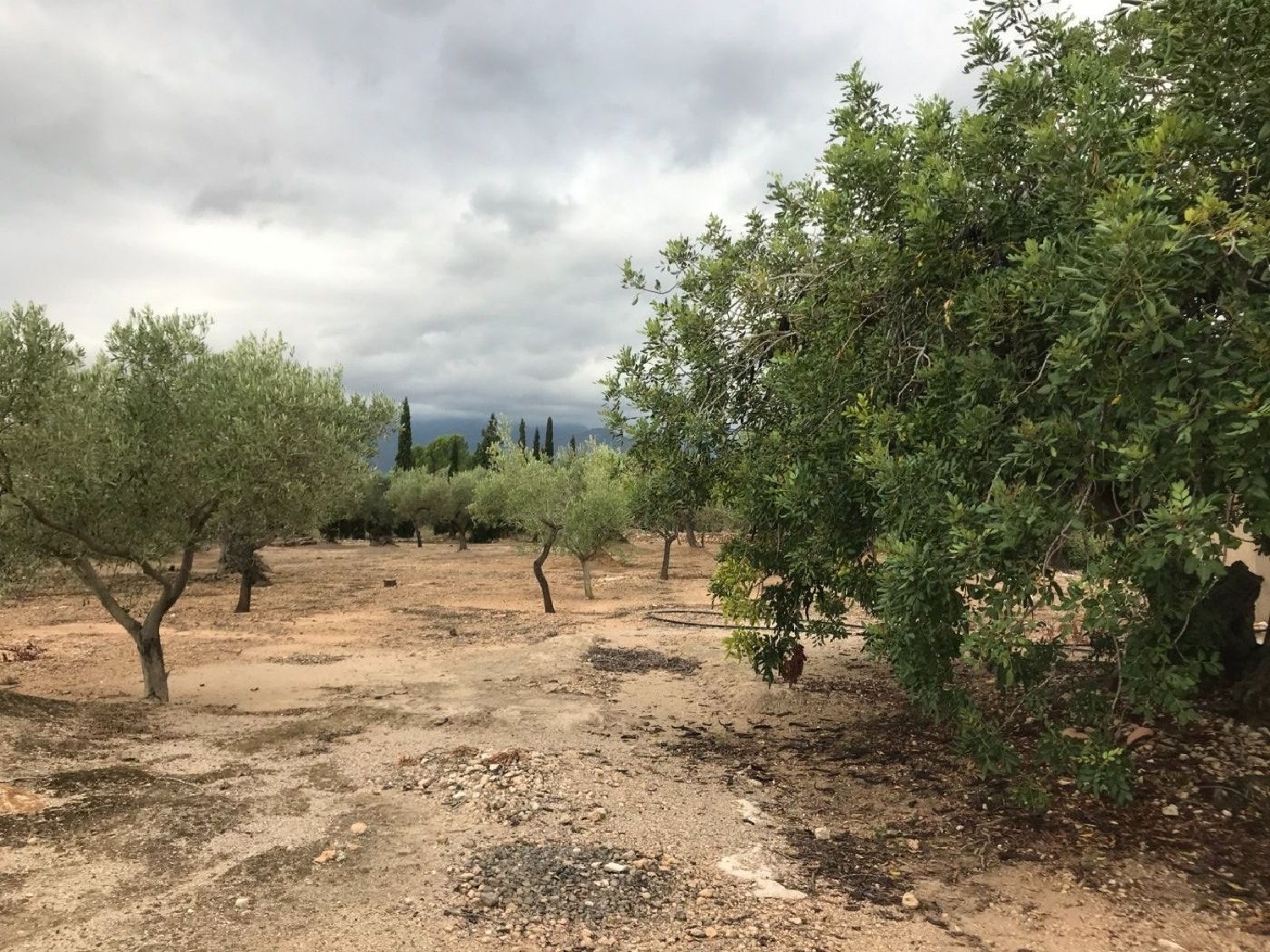  te koop boerderij Aldover Baix Ebre 8