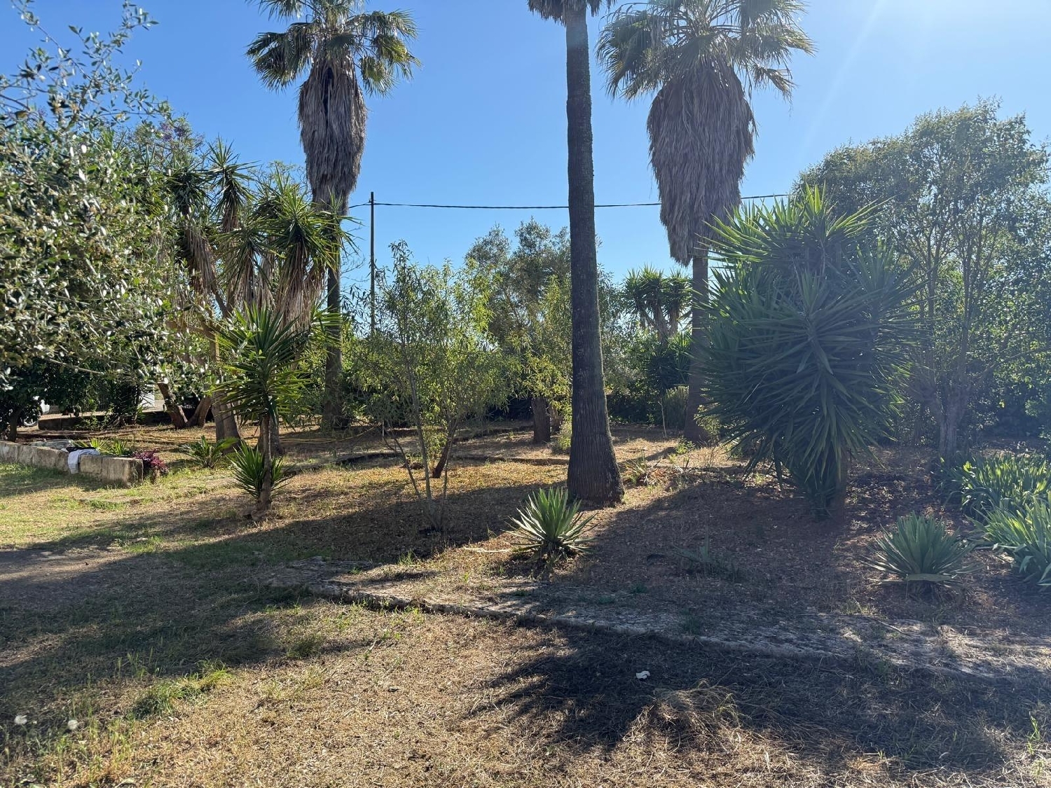  en venta finca rústica Algaida Pla (Es) 7