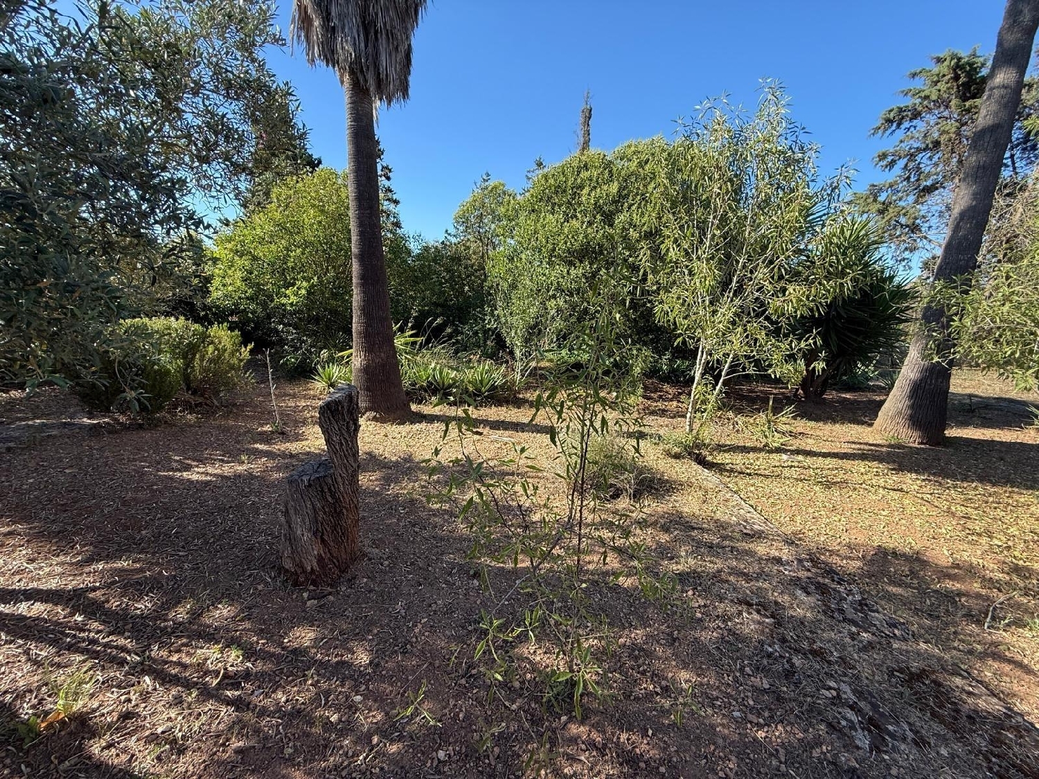  en venta finca rústica Algaida Pla (Es) 4
