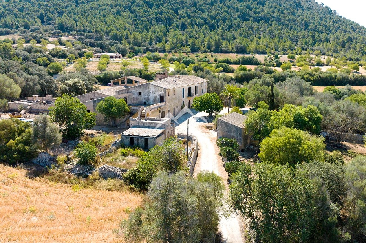 en venta finca rústica Algaida Pla (Es) 8