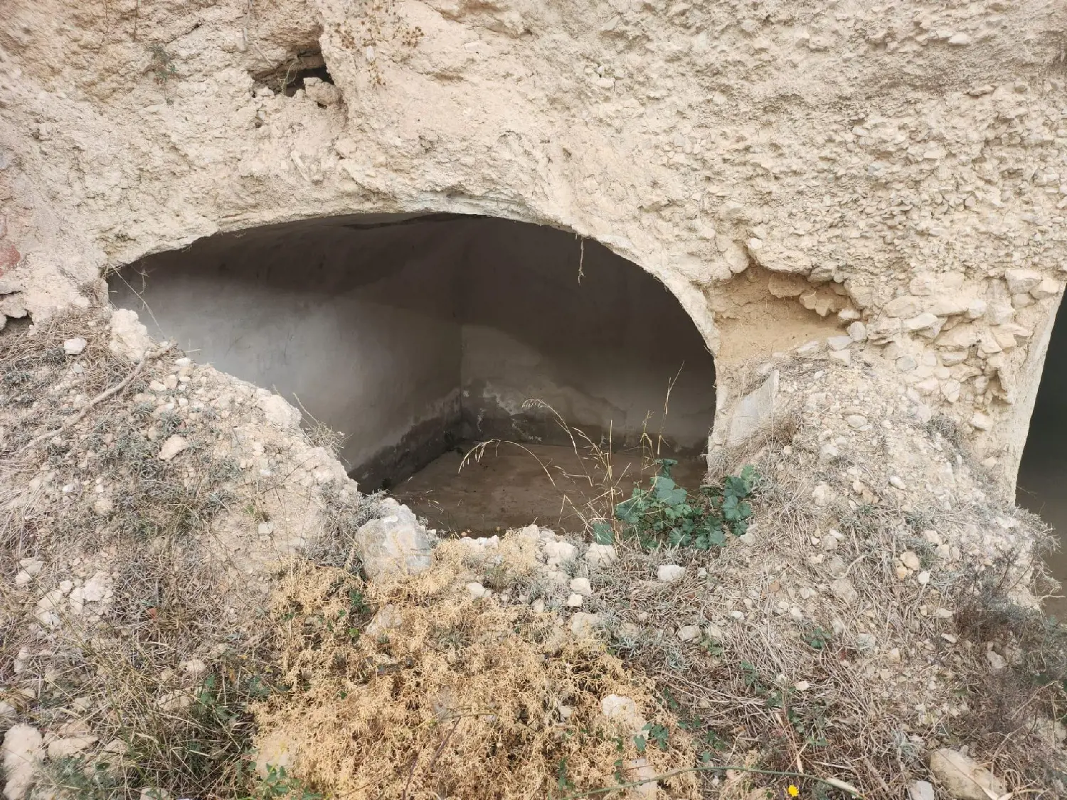 en venta finca rústica Algayat Vinalopó Mitjà 2