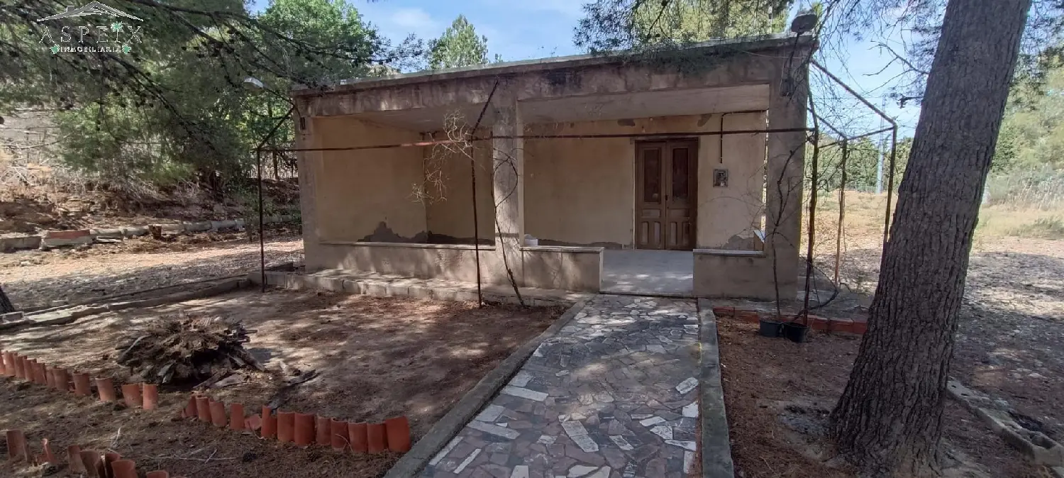  en venta finca rústica Algayat Vinalopó Mitjà 1