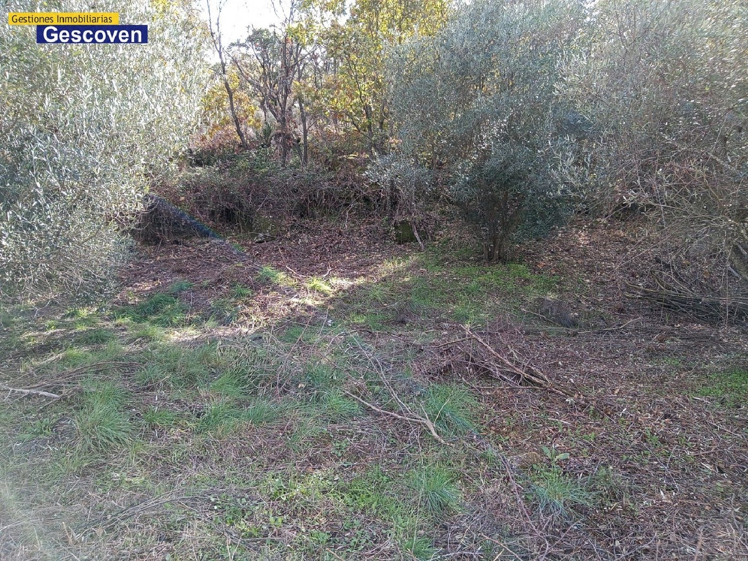  te koop boerderij Urdimalas Monfragüe 6
