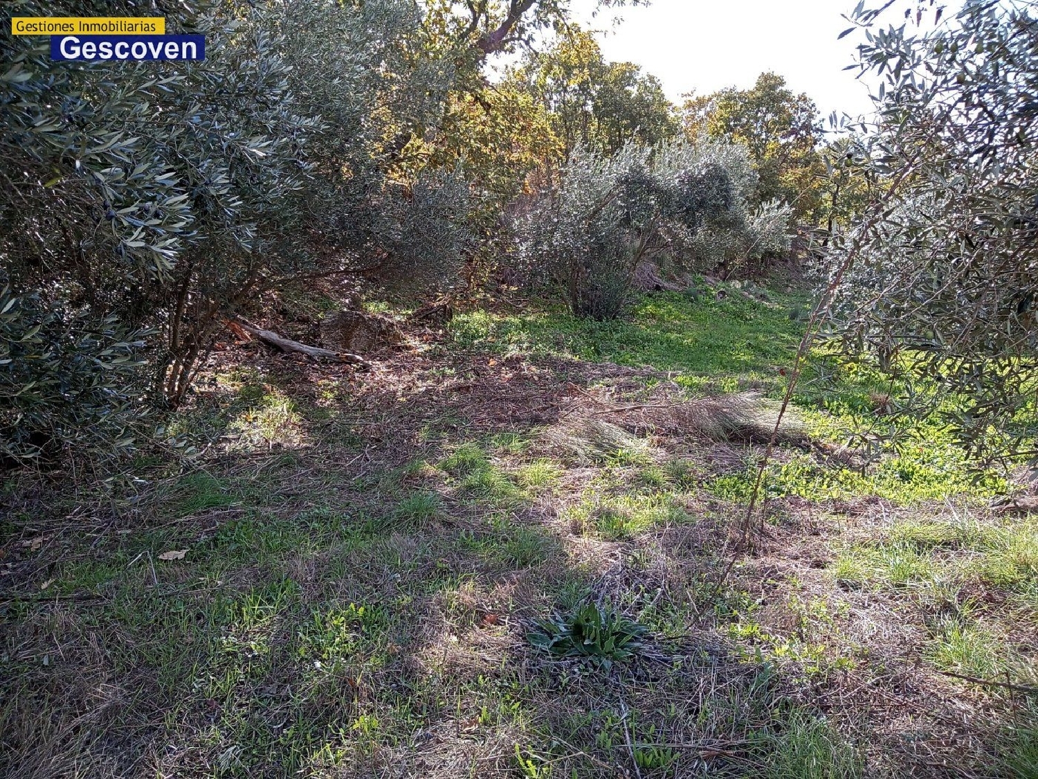  te koop boerderij Urdimalas Monfragüe 5