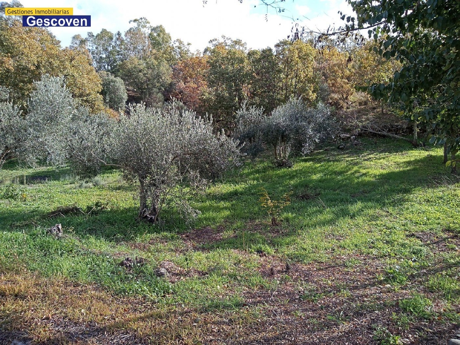  te koop boerderij Urdimalas Monfragüe 3
