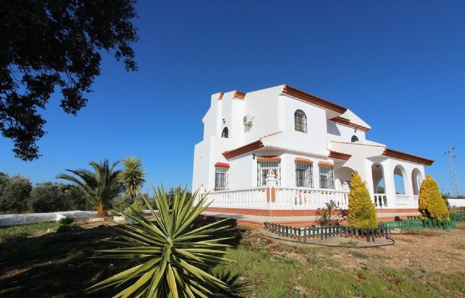 te koop boerderij Alosno Andévalo (El) 2