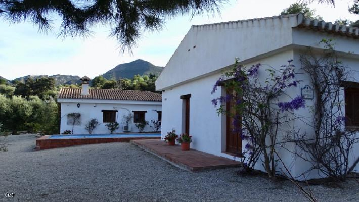  till salu hus på landet La Herradura Costa Tropical 5