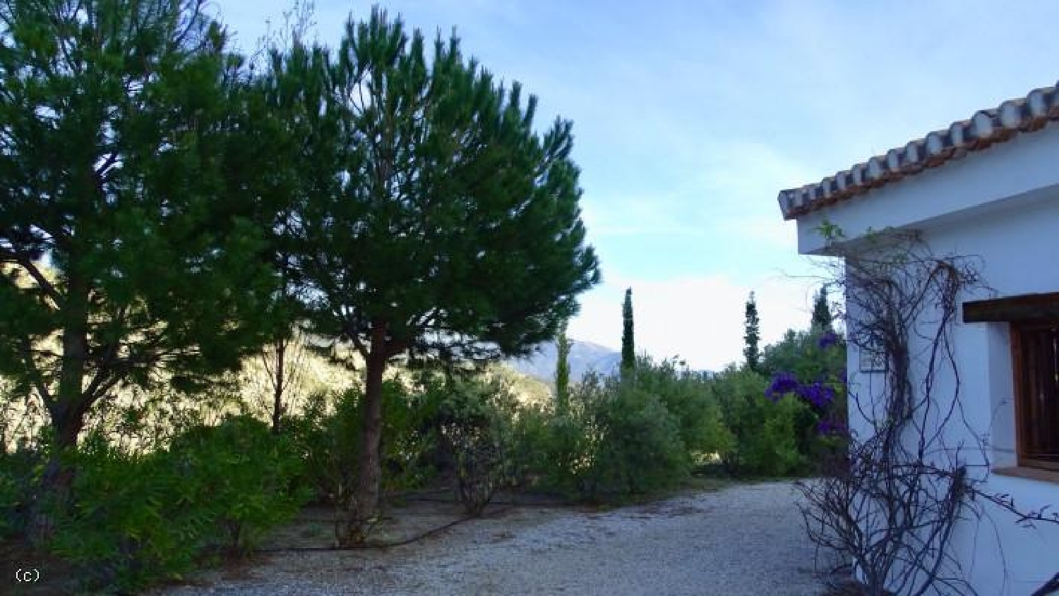  till salu hus på landet La Herradura Costa Tropical 40