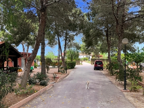 Altozano Alacantí hus på landet foto 6228773