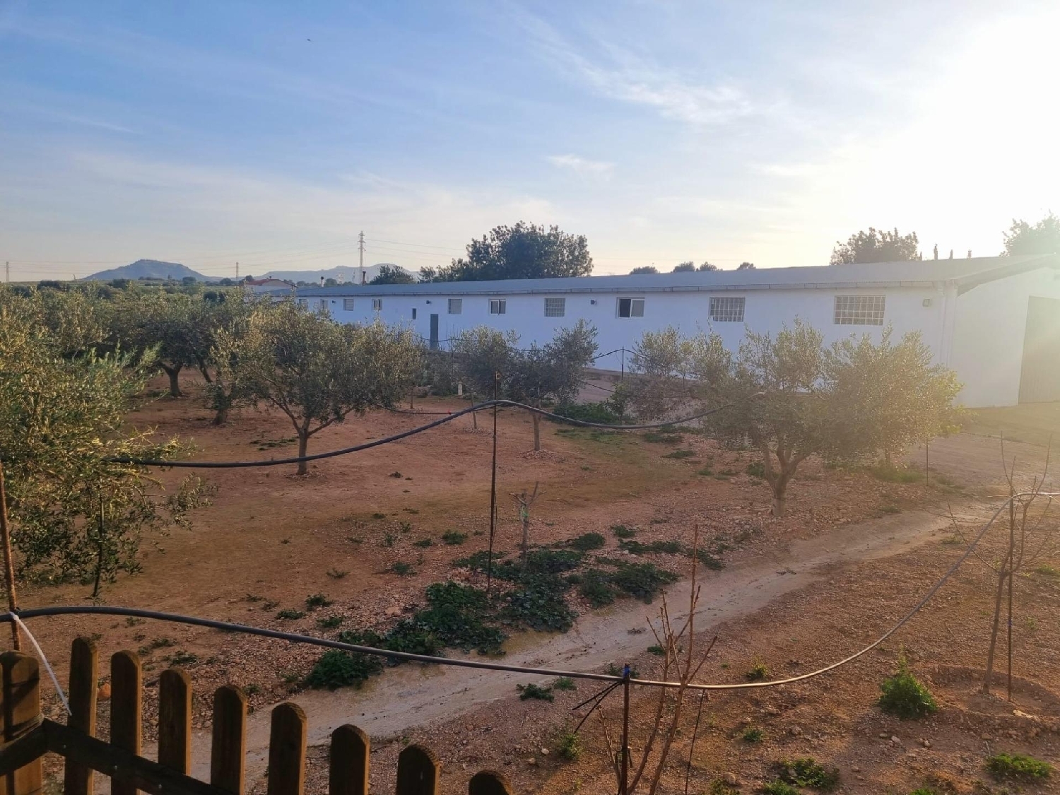  te koop boerderij Salines De La Trinitat Montsià 5