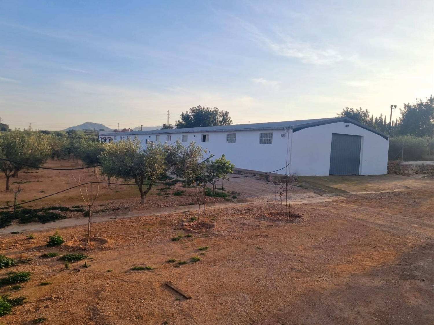  te koop boerderij Salines De La Trinitat Montsià 4
