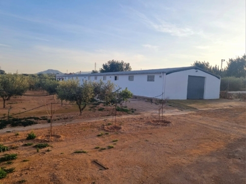 Amposta Montsià hus på landet foto 6251675
