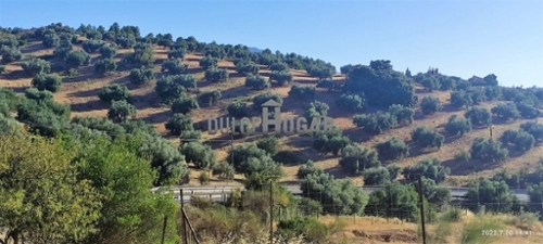 Antequera Antequera hus på landet foto 6253245