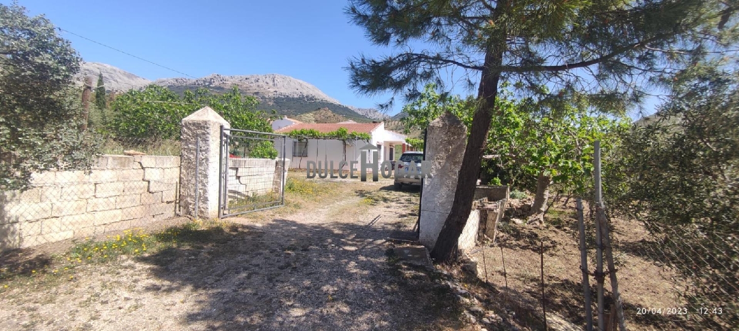  till salu hus på landet Antequera Antequera 8