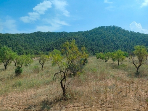 Arens De Lledó Matarraña hus på landet foto 6253028