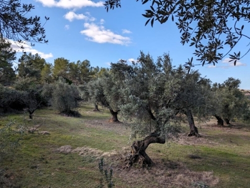 Arens De Lledó Matarraña hus på landet foto 6253130