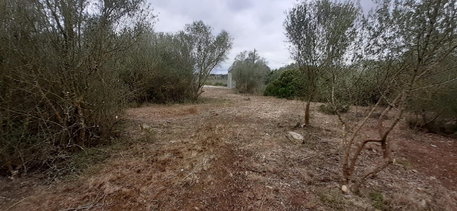  till salu hus på landet Ariany Pla (Es) 5