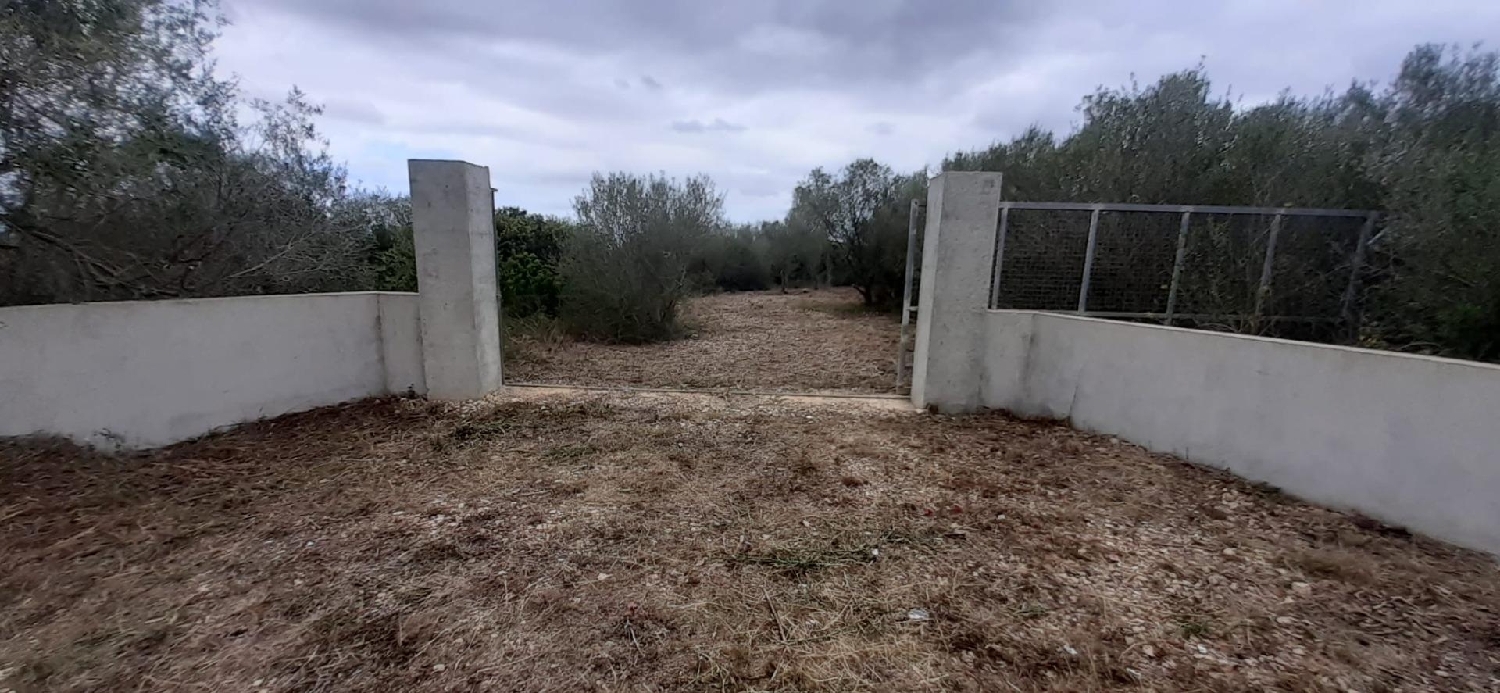 till salu hus på landet Ariany Pla (Es) 2