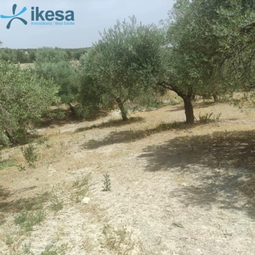 Arjona Campiña De Jaén hus på landet foto 6242268