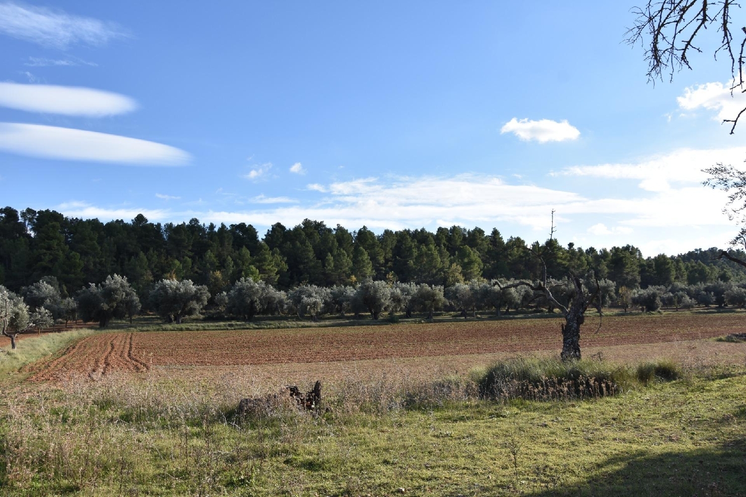  till salu hus på landet Arnes Terra Alta 3