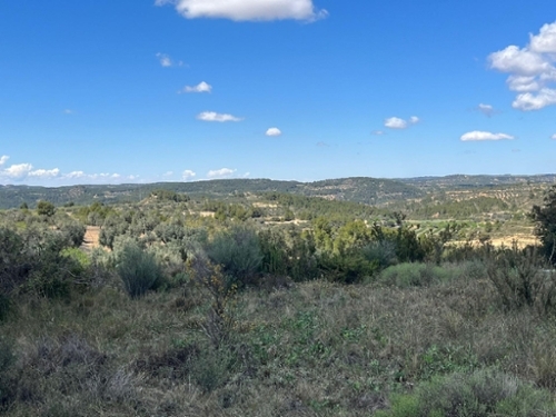Arroyofrio Sierra De Albarracín (La) hus på landet foto 6253157