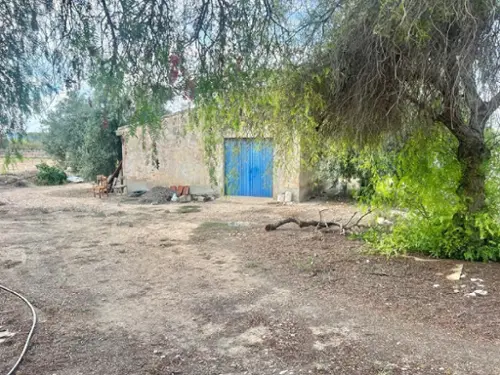 Aspe Vinalopó Mitjà hus på landet foto 6190577