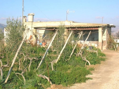 Aspe Vinalopó Mitjà hus på landet foto 6226688