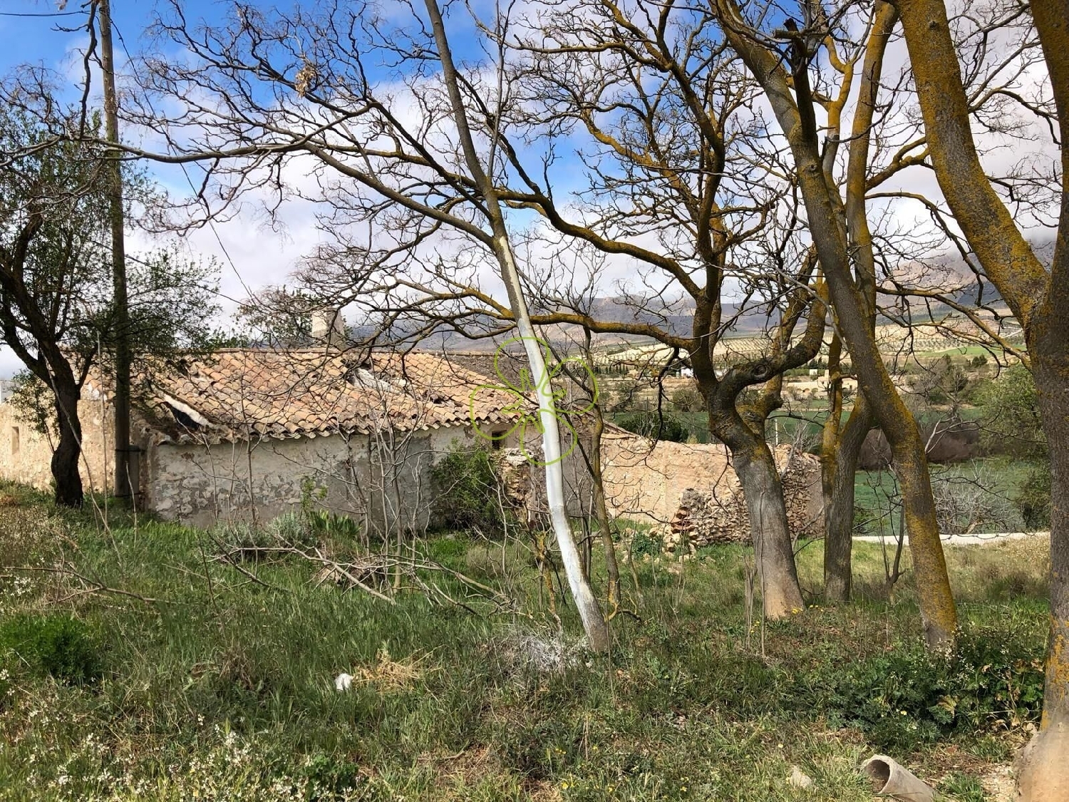  till salu hus på landet Aspilla Comarca De Los Vélez 4