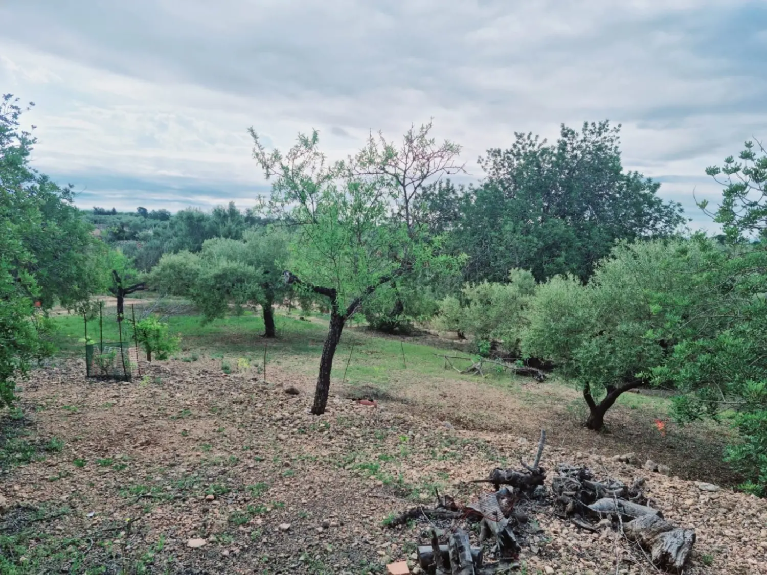 till salu hus på landet Barri De Saifores Baix Penedès 3