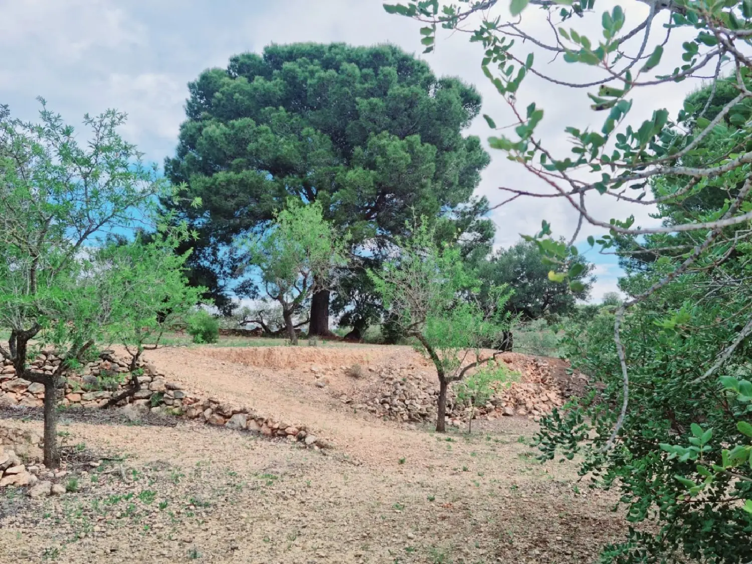  till salu hus på landet Barri De Saifores Baix Penedès 6