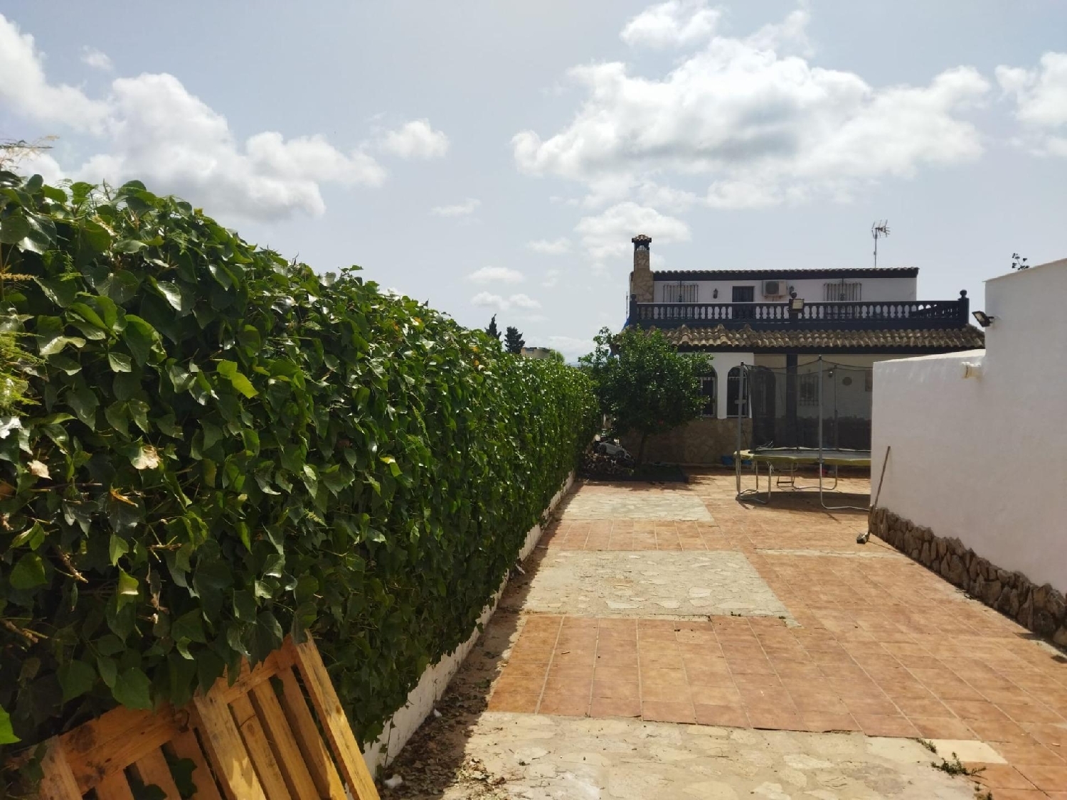  en venta finca rústica Barbate Janda (La) 8